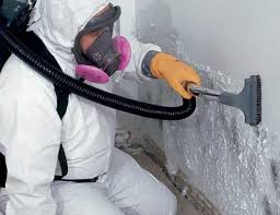 Best Environmental Consulting for Mold Prevention  in West Point, VA